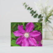 Carte Postale Fleurs à Robinette's Apple Haus et Gift Barn (Debout devant)