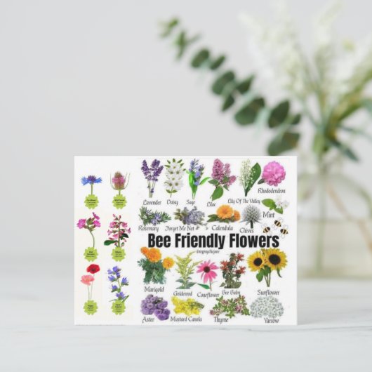 Carte postale Fleurs Abeilles (Debout devant)