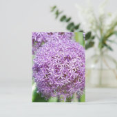 Carte postale Fleurs Allium Violet (Debout devant)