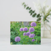 Carte postale Fleurs Allium Violet (Debout devant)