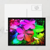 Carte Postale Fleurs amusantes (Devant / Derrière)