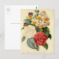Fleurs anciennes, camélias et narcisses, Redoute
