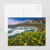 Carte Postale Fleurs au-dessus de Sand Dollar Beach (Devant / Derrière)