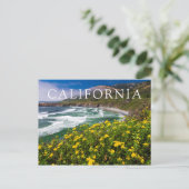 Carte Postale Fleurs au-dessus de Sand Dollar Beach (Debout devant)