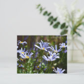 Carte Postale Fleurs au soleil (Debout devant)