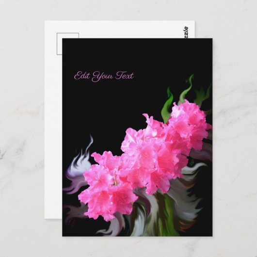 Carte Postale Fleurs azalées (Devant / Derrière)