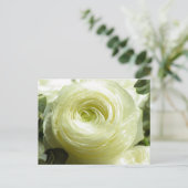 Carte postale Fleurs Beurre Blanche (Debout devant)