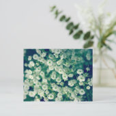 Carte Postale Fleurs blanches (Debout devant)