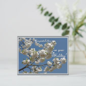 Carte Postale Fleurs blanches (Debout devant)