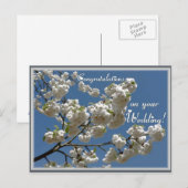 Carte Postale Fleurs blanches (Devant / Derrière)