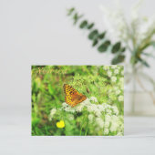 Carte Postale Fleurs blanches à papillon orange et noir (Debout devant)