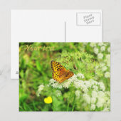 Carte Postale Fleurs blanches à papillon orange et noir (Devant / Derrière)