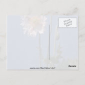 Carte Postale fleurs blanches de pavot à opium (Papaver Somnifer (Dos)