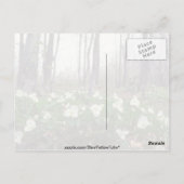 Carte Postale fleurs blanches du Trillium (Dos)