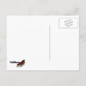 Carte Postale Fleurs blanches I Poirier ornemental (Dos)