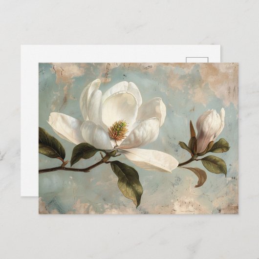 Carte Postale Fleurs blanches Magnolia Vintages (Devant / Derrière)