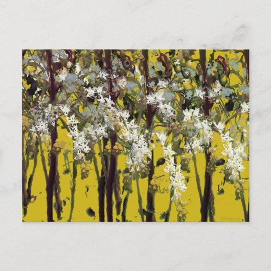 Carte Postale Fleurs blanches minuscules (Devant)