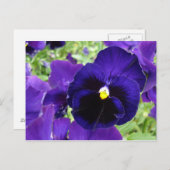 Carte postale "Fleurs bleu foncé" (Devant / Derrière)