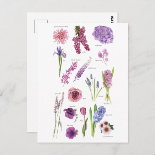 Carte Postale Fleurs bleu violet (Devant / Derrière)