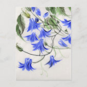 Carte Postale Fleurs bleues (Devant)