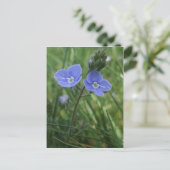 Carte postale Fleurs bleues (Debout devant)