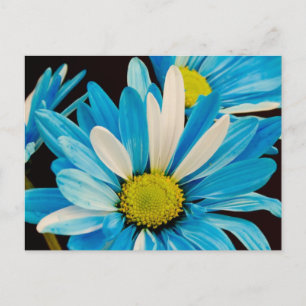 Carte postale Fleurs bleues