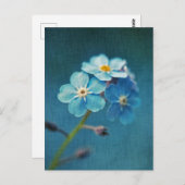 Carte Postale Fleurs bleues élégantes Ne m'oubliez pas (Devant / Derrière)