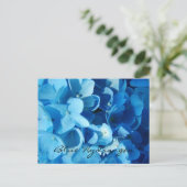 Carte Postale Fleurs bleues, hortensia (Debout devant)
