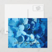 Carte Postale Fleurs bleues, hortensia (Devant / Derrière)
