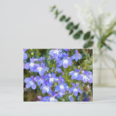 Carte postale Fleurs Bleues Myosotis (Debout devant)