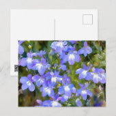 Carte postale Fleurs Bleues Myosotis (Devant / Derrière)