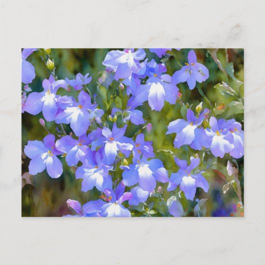 Carte postale Fleurs Bleues Myosotis (Devant)