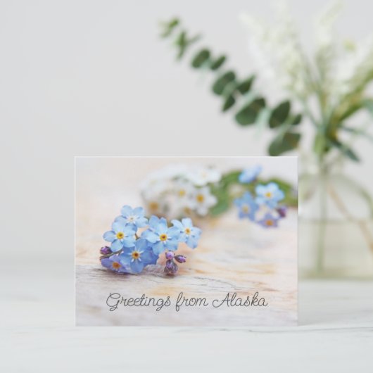 Carte Postale Fleurs bleues Ne m'oubliez pas Salutations d'Alask (Debout devant)