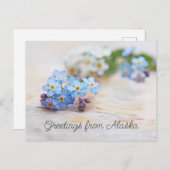 Carte Postale Fleurs bleues Ne m'oubliez pas Salutations d'Alask (Devant / Derrière)