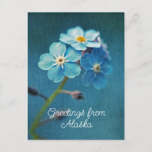 Carte Postale Fleurs Bleues Ne m'oubliez pas Salutations d'Alask