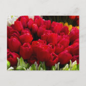 Carte Postale Fleurs Bloemenmarkt (Devant)