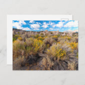 Carte Postale Fleurs | Blooming Sagebrush Californie (Devant / Derrière)