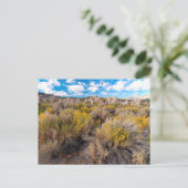 Carte Postale Fleurs | Blooming Sagebrush Californie (Debout devant)