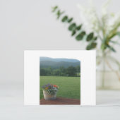 Carte Postale Fleurs Blue Ridge (Debout devant)