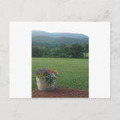 Carte Postale Fleurs Blue Ridge (Devant)