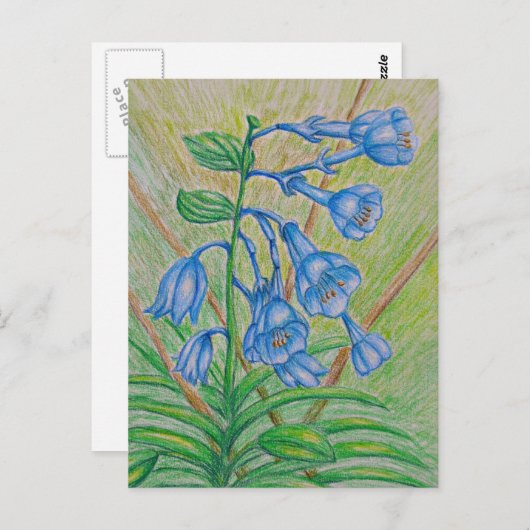 Carte Postale Fleurs BlueBell (Devant / Derrière)