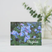 Carte postale Fleurs Bluebell State Virginia (Debout devant)