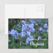 Carte postale Fleurs Bluebell State Virginia (Devant / Derrière)