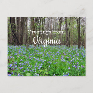 Carte Postale Fleurs Bluebell State Virginia