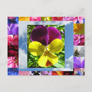 Carte postale Fleurs Bonheur