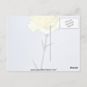 Carte Postale Fleurs carnation jaunes (Dos)