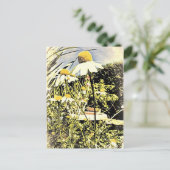 Carte postale Fleurs Chamomilles (Style Antique) (Debout devant)