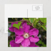 Carte Postale Fleurs chez Robinette's Apple Haus & Gift Barn (Devant / Derrière)