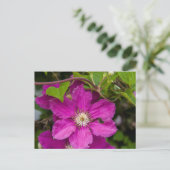 Carte Postale Fleurs chez Robinette's Apple Haus & Gift Barn (Debout devant)