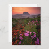 Carte Postale Fleurs | Chiang Dao, Chiang Mai, Thaïlande (Devant / Derrière)